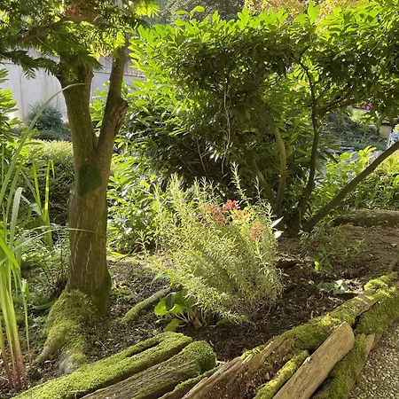 Ferienwohnung Wanderschoen Sasbachwalden Extérieur photo