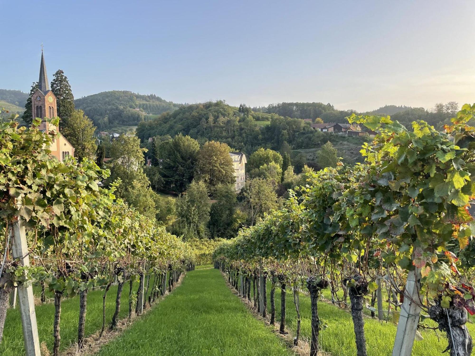 Appartement Wanderschoen Sasbachwalden